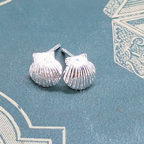 Little clamshell studs